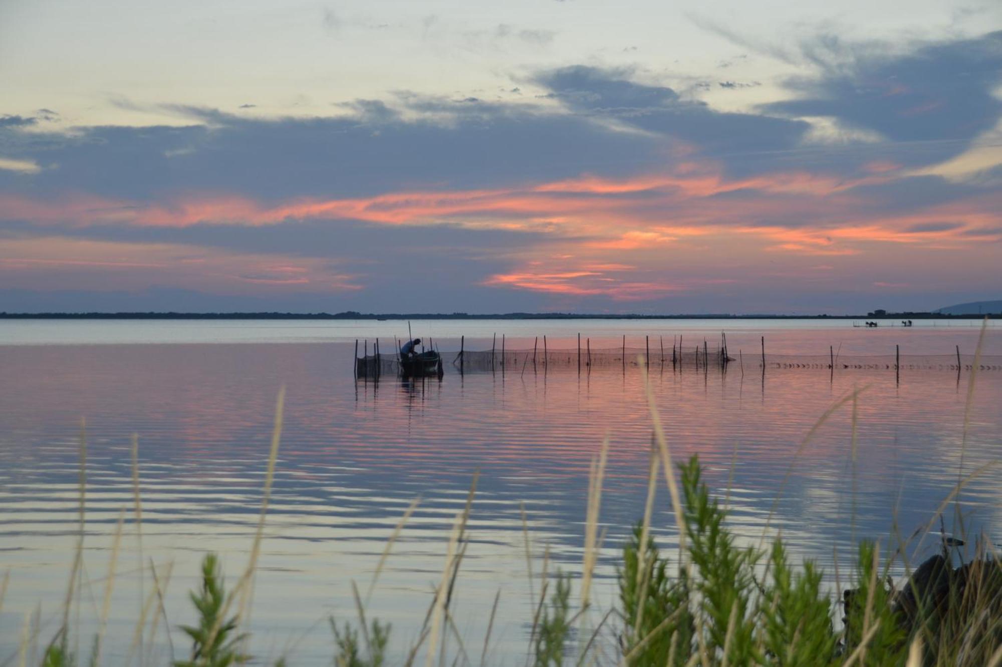 Le Stanze Di Ricci - Affittacamere Low Cost Lesina Exterior foto